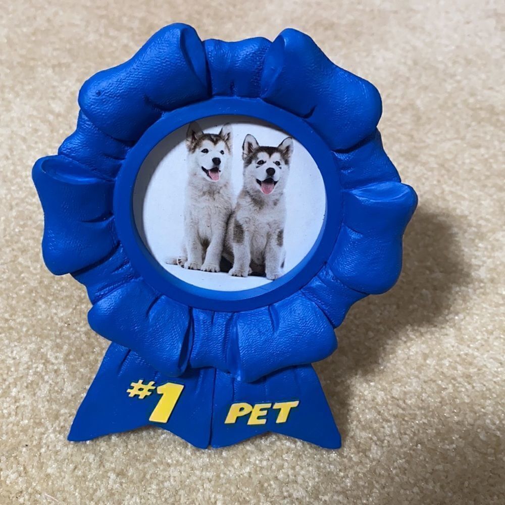 Husky Grooming Bundle & Photo Frame NEW - Picture 2 of 8